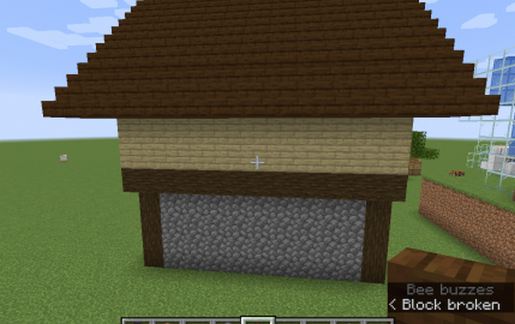 Village House