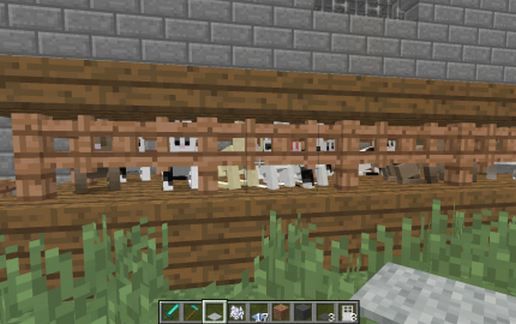 Contemporary House 03 - Bunny Farm