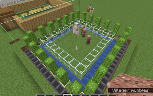 Slime Farm
