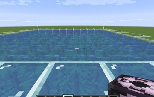 Kelp Farm
