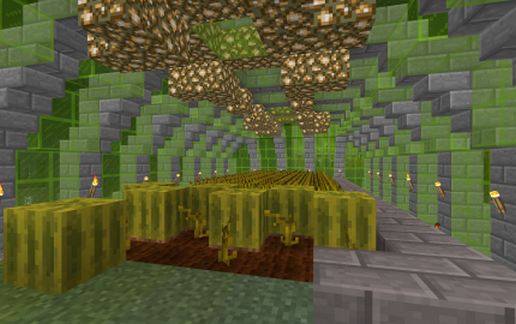 Greenhouse