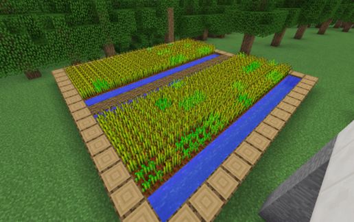 a feld