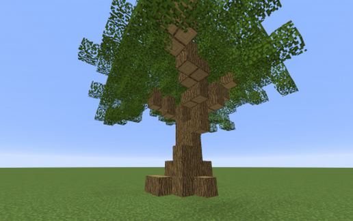 Ancient oak tree