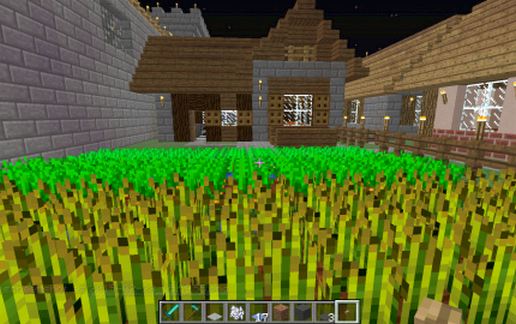 Contemporary House 08