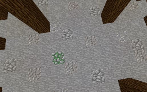 Medieval Spruce Arena schematic - building
