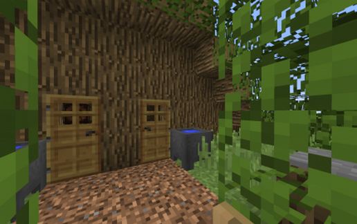 Camo-House