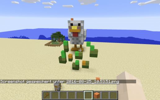 Big Chicken with Seed