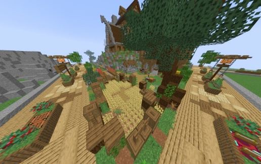 Field with tree