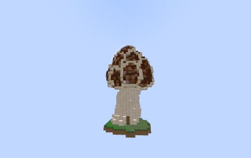 BrownMushroom