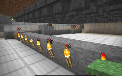 Auto Egg Farm
