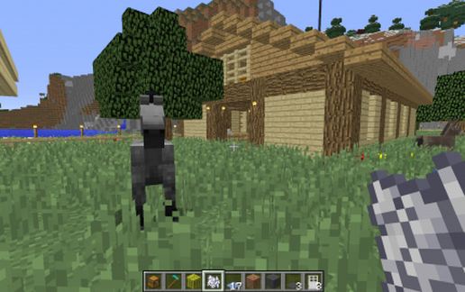 Contemporary House 02 - Stables