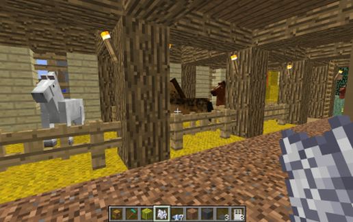 Contemporary House 02 - Stables