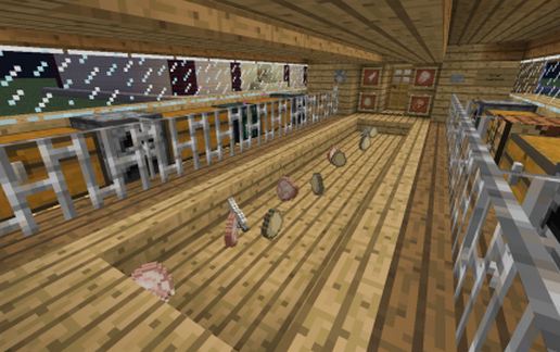 Chicken Farm