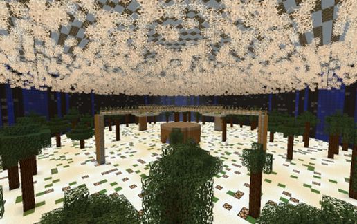 PvP Arena