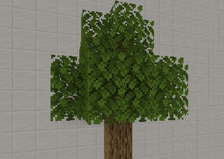 Vanilla tree