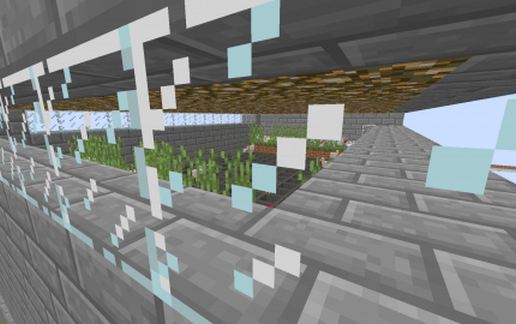 fully auto raw chicken factory