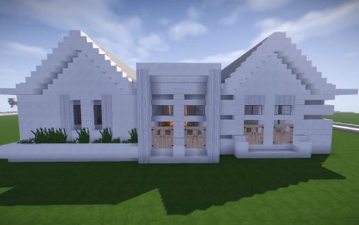 Modern House 1