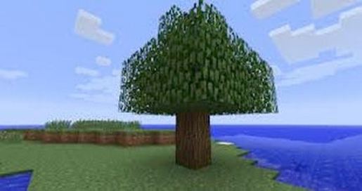 Normal minecraft tree