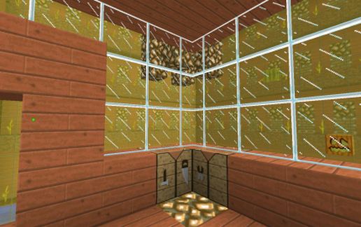 Automatic farm pumpkins and melons