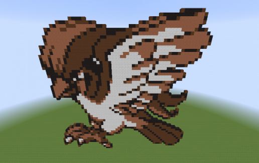Pigeot