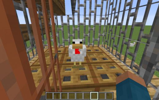 Chicken coop 3.0