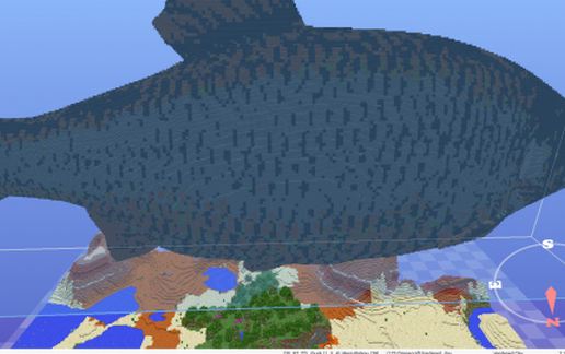 Rudd Fish