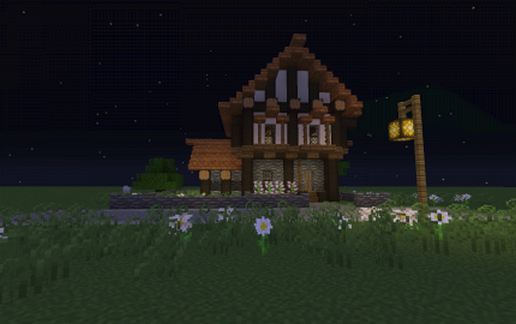 Small Medieval House