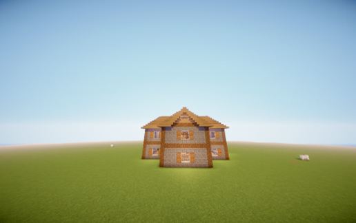 House for survival (unfurnished)