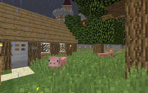 Contemporary House 06 - Hog Farm