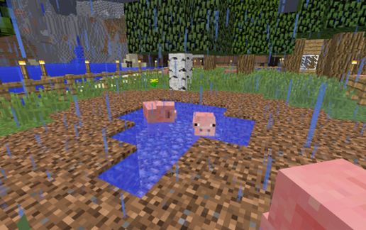 Contemporary House 06 - Hog Farm