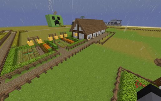Horses Stable
