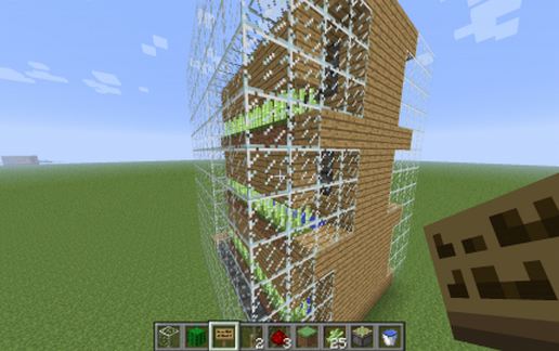 sugar cane farm
