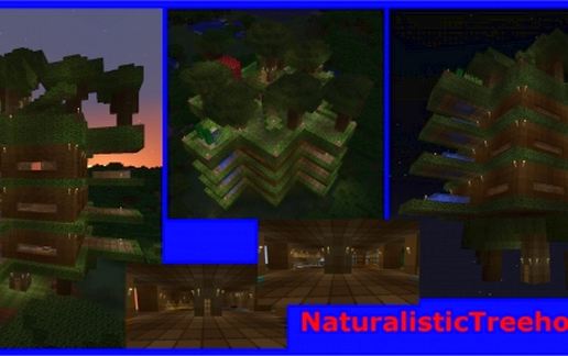 Naturalistic Tree House schematic - building
