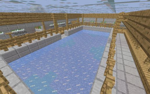 Ice Skating Rink