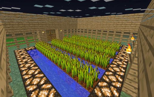 Field with protection