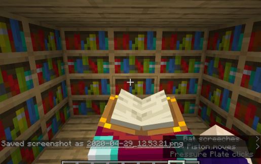HIDDEN LIBRARY