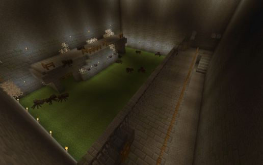 Mob Exp arenas
