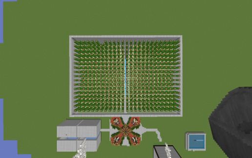 Cactus Farm