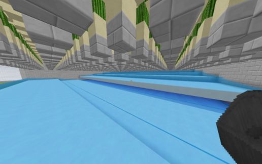 Cactus Farm