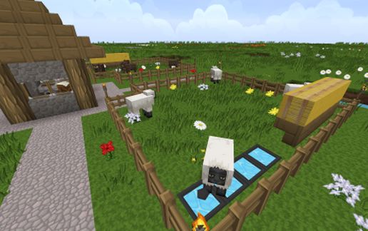 Better Village Livestock Farm