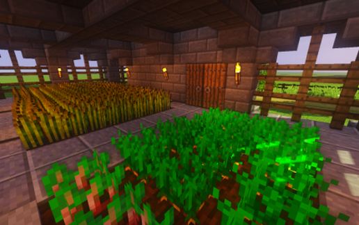 Raised House
