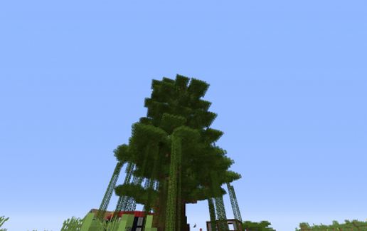Big Tree