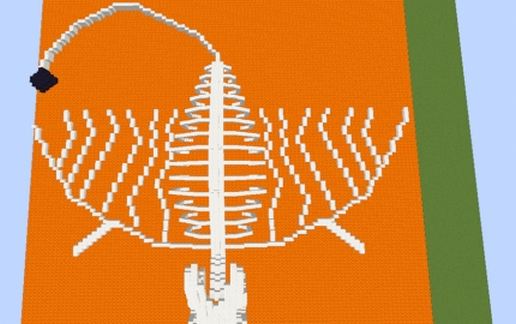 Charizard Skeleton