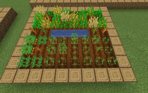Leniland NewWorld Field 10x9 schematic - building