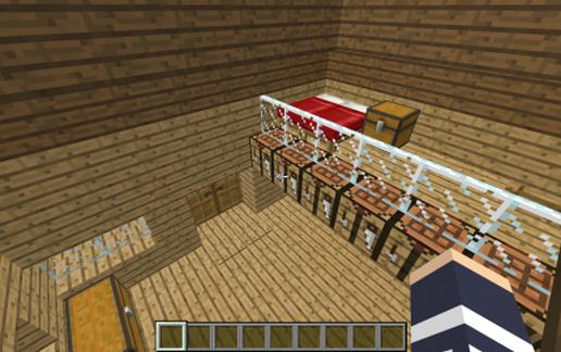 small house with mini farm