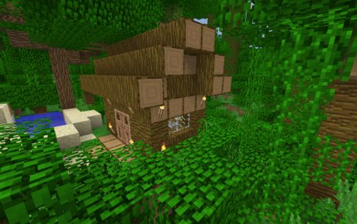 Jungle house schematic - building