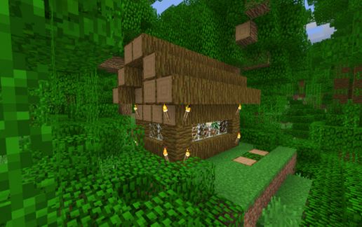 Jungle house