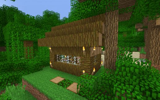 Jungle house