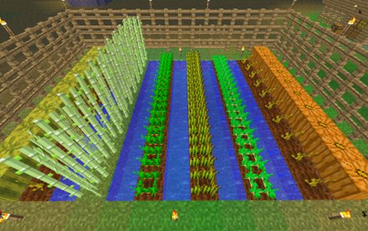 Field with simple protection