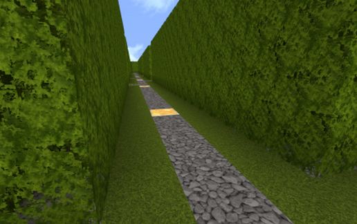 Stanley's Hedge Maze